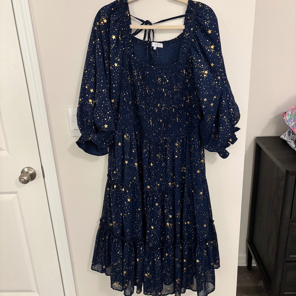 Ivy City Co Starry Night Dress Size 3X